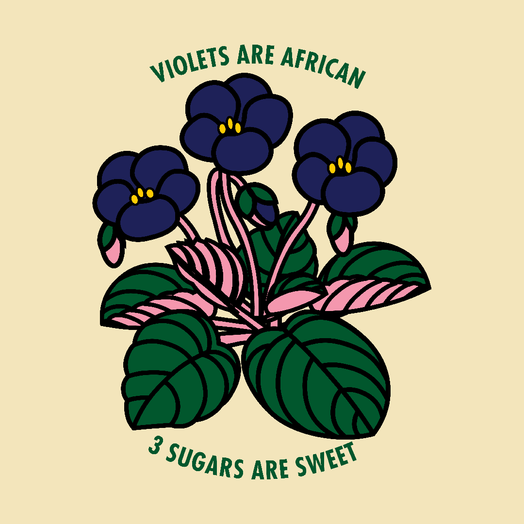 Violets are african. 3 sugars are sweet.